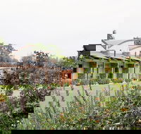 A Must At Coonawarra - Darwin Holiday