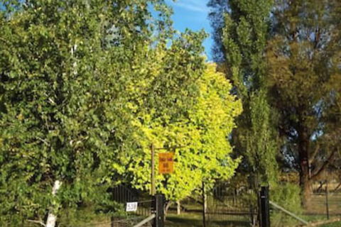 Ophir Gold Bed & Breakfast - Darwin Holiday 2