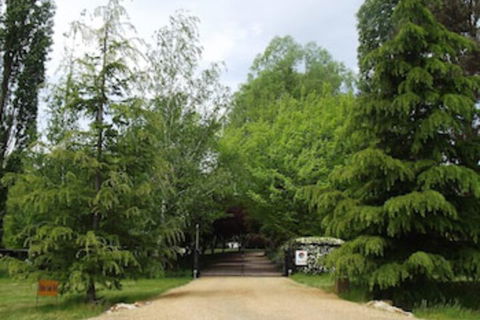 Ophir Gold Bed & Breakfast - Darwin Holiday 0