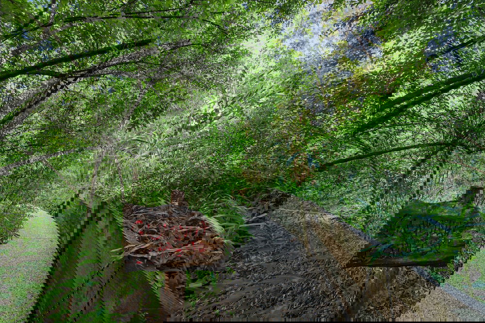 Landers Shoot QLD Darwin Holiday