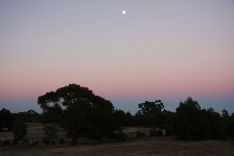 Boroka Downs - Darwin Holiday 0