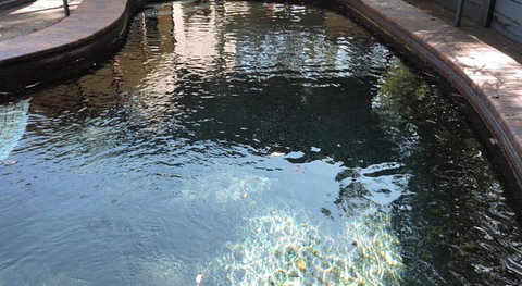 Town & Country Motel - Darwin Holiday 0