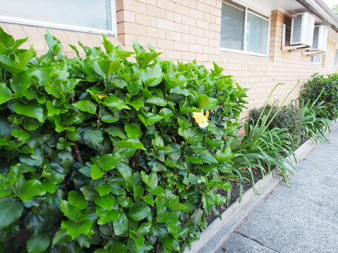 Windmill Motel - Darwin Holiday 1