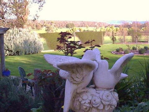 Springbank Bed & Breakfast - Darwin Holiday 6