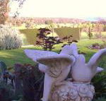 Springbank Bed  Breakfast - Darwin Holiday