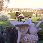 Springbank Bed & Breakfast - Darwin Holiday 0