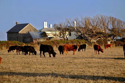 Cable Station Accommodation - Darwin Holiday 5