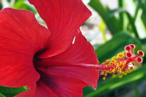 Driftwood Motel & Holiday Units - Darwin Holiday 6