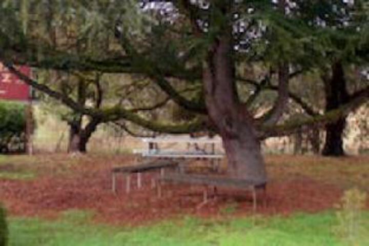 Riverton SA Darwin Holiday