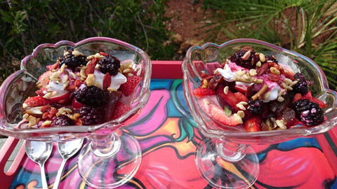 Natures Paradise - Darwin Holiday 2