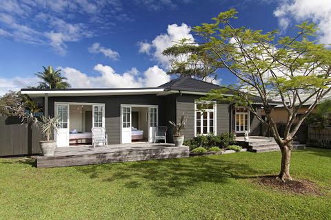 Black Fox - Darwin Holiday 0