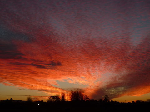 City Centre Motel - Darwin Holiday 0
