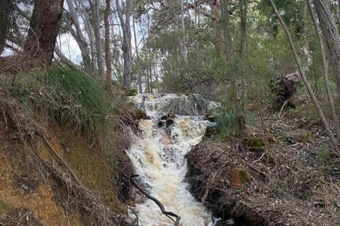 Donnelly Lakes - Darwin Holiday 5