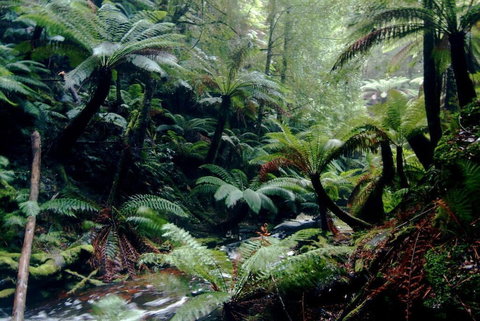 Corinna Wilderness Experience - Darwin Holiday 2