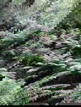 Corinna Wilderness Experience - Darwin Holiday 1