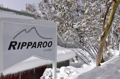 Ripparoo Ski Lodge - Darwin Holiday 1