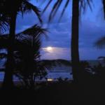 Sejala Beach Huts - Darwin Holiday 0