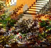 Pialba Motor Inn - Darwin Holiday