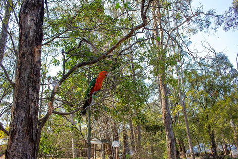 Kalimna Woods Cottages - Darwin Holiday 2