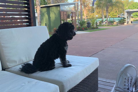 Mulwala Resort - Darwin Holiday 5