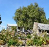 Sassafras Springs - Darwin Holiday