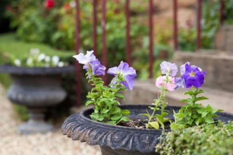 Bellerive House - Darwin Holiday 1