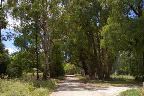Stanley Goose Cottage - Darwin Holiday 2