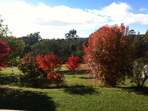 Stanley Goose Cottage - Darwin Holiday 5