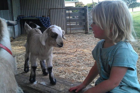 Fernleigh Farmstay & Bike Park - Darwin Holiday 5