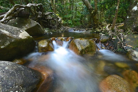Daintree Cascades - Darwin Holiday 1