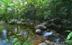 Daintree Cascades - thumb 5