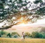 Cedia at Byron Bay Hinterland - Darwin Holiday