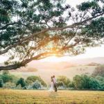 Cedia At Byron Bay Hinterland - Darwin Holiday 0