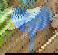 Deja Vu Palm Cove Private Heated Pool - Darwin Holiday