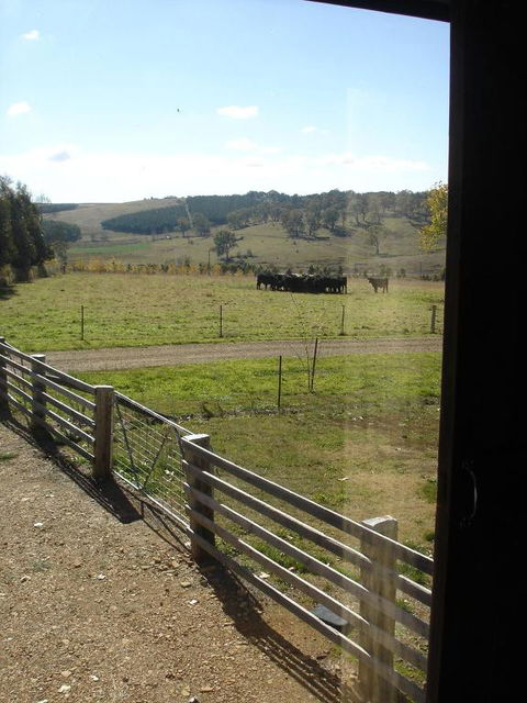 Black Sheep Inn - Darwin Holiday 3