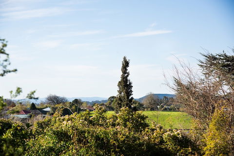 Botanica - Darwin Holiday 0