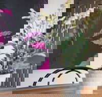 Birdie - Darwin Holiday