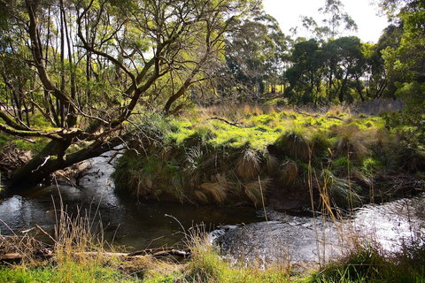 Green Gully House - Darwin Holiday 0