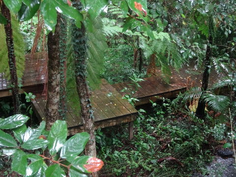 Treetops Accommodation Montville - Darwin Holiday 1