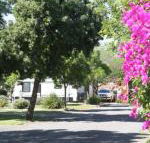 BIG 4 Hay - Darwin Holiday