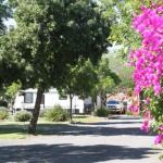 BIG 4 Hay - Darwin Holiday 0