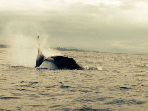 Beachside Backpackers - Darwin Holiday 3