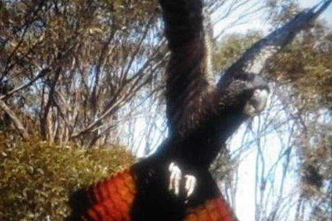 Cooinda Holiday Village - Darwin Holiday 1