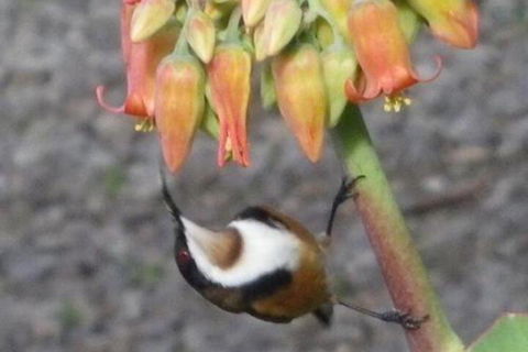 Cooinda Holiday Village - Darwin Holiday 6