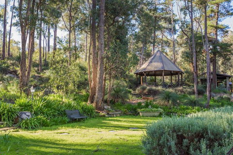 Lavenderpatch - Darwin Holiday 4