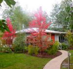 Dalrymples Guest Cottages - Darwin Holiday