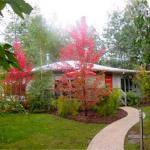 Dalrymples Guest Cottages - Darwin Holiday 0