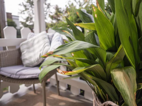 Cottage 79 - Darwin Holiday 5