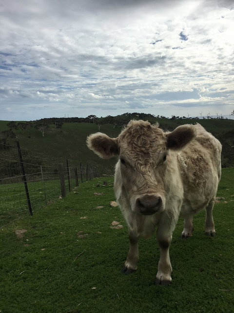 Morella Farm Stay - Darwin Holiday 1