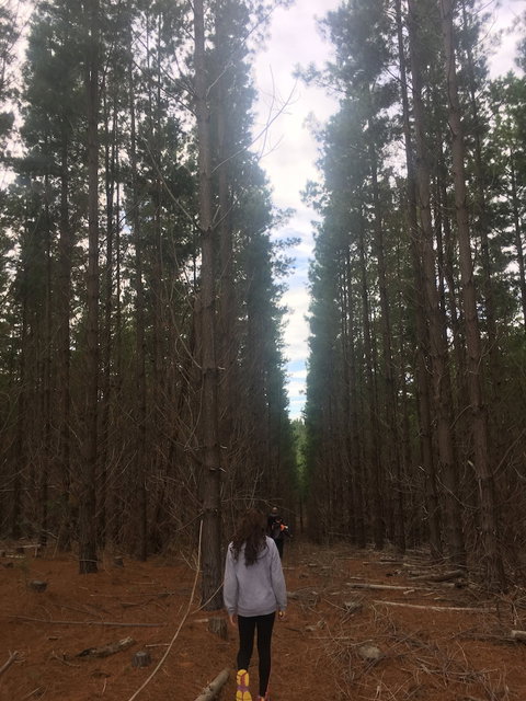 Morella Farm Stay - Darwin Holiday 6